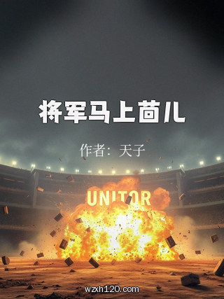 将军马上茴儿