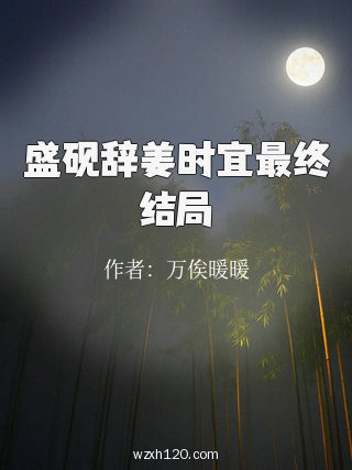 盛砚辞姜时宜最终结局