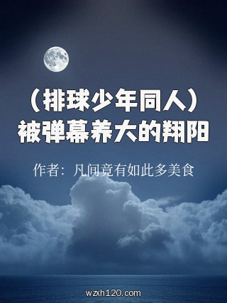 （排球少年同人）被弹幕养大的翔阳