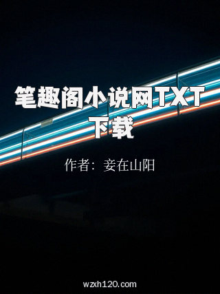 笔趣阁小说网TXT下载