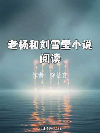 老杨和刘雪莹小说阅读