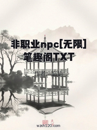 非职业npc[无限]笔趣阁TXT