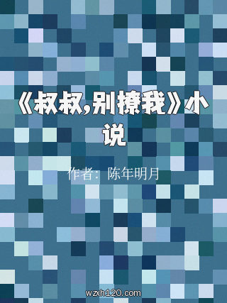 《叔叔,别撩我》小说