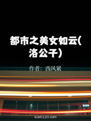都市之美女如云(洛公子)