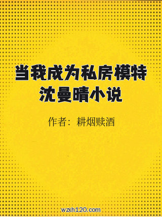 当我成为私房模特沈曼晴小说