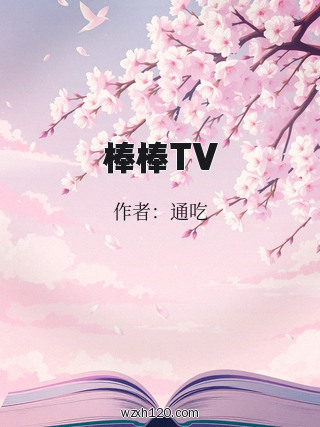 棒棒TV