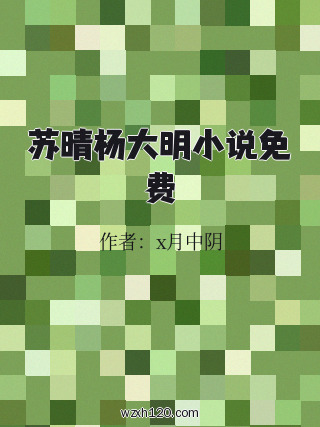 苏晴杨大明小说免费