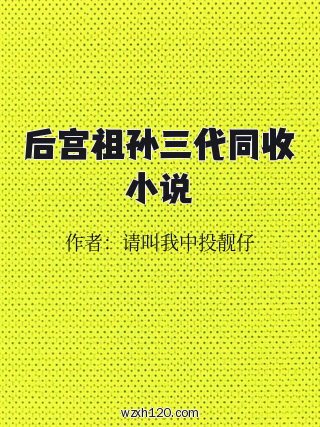 后宫祖孙三代同收小说