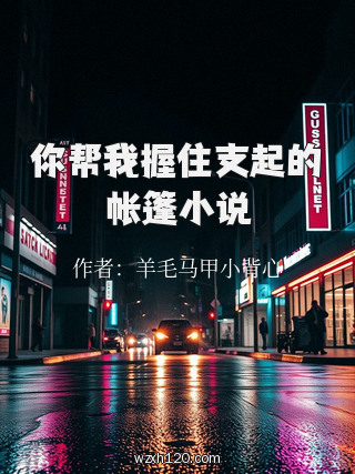 你帮我握住支起的帐篷小说