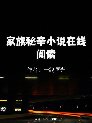 家族秘辛小说在线阅读