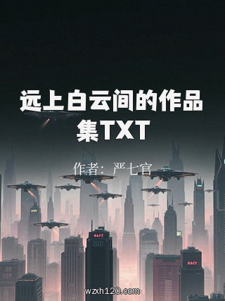 远上白云间的作品集TXT