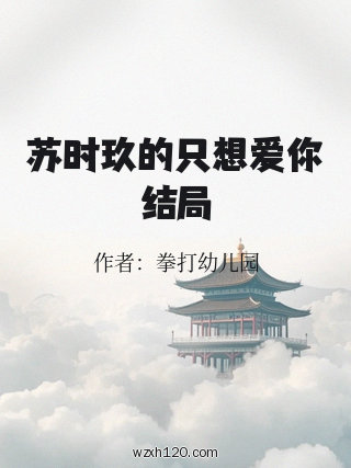 苏时玖的只想爱你结局