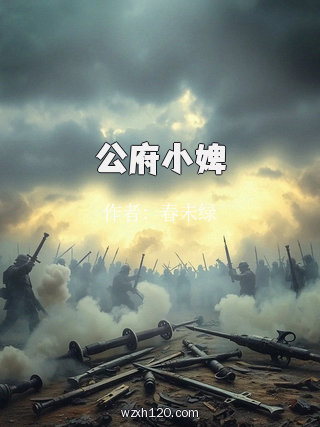公府小婢