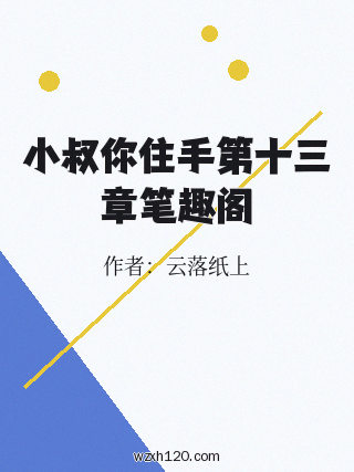 小叔你住手第十三章笔趣阁