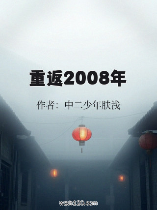 重返2008年