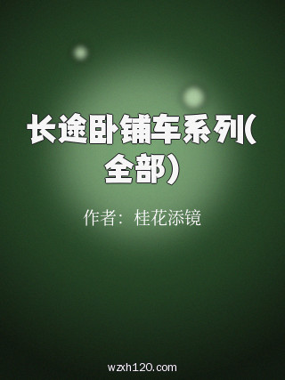 长途卧铺车系列(全部)