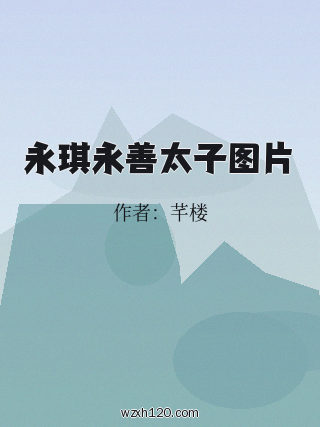 永琪永善太子图片