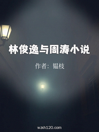 林俊逸与周涛小说