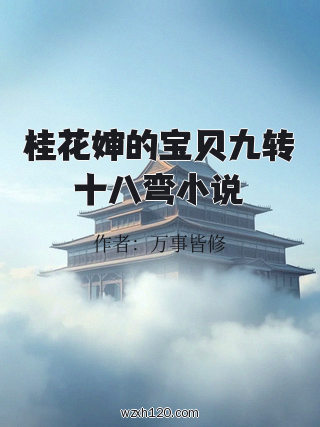 桂花婶的宝贝九转十八弯小说