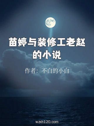 苗婷与装修工老赵的小说
