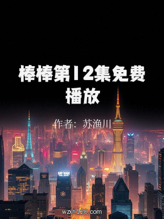 棒棒第12集免费播放