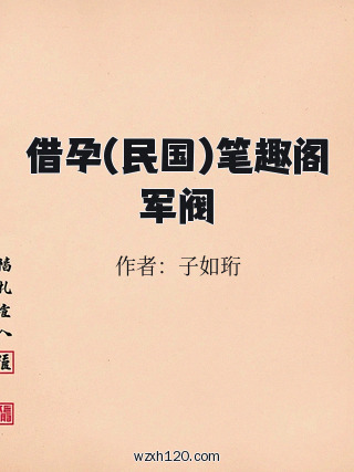 借孕(民国)笔趣阁军阀