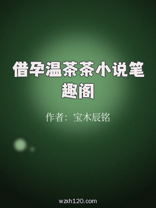 借孕温茶茶小说笔趣阁