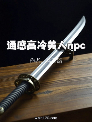 通感高冷美人npc