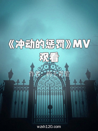 《冲动的惩罚》MV观看