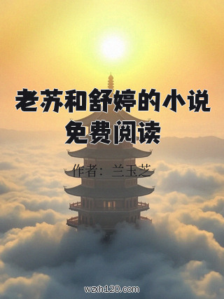 老苏和舒婷的小说免费阅读