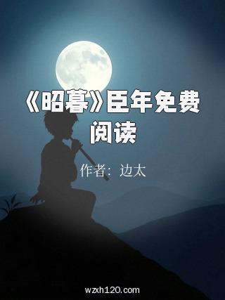 《昭暮》臣年免费阅读