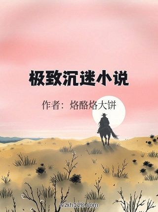 极致沉迷小说