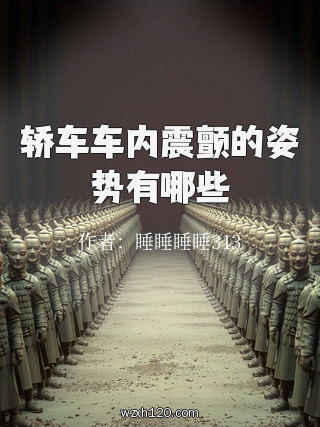轿车车内震颤的姿势有哪些