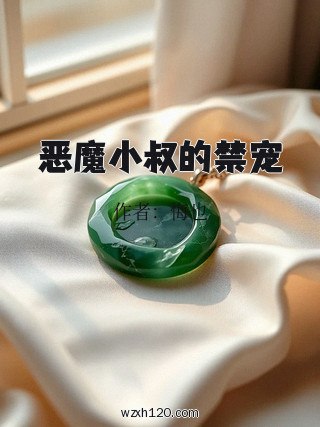 恶魔小叔的禁宠