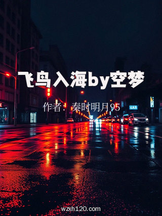 飞鸟入海by空梦
