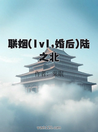 联姻(1v1,婚后)陆之北