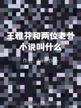 王雅芬和两位老外小说叫什么