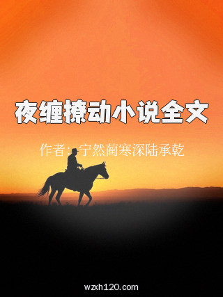 夜缠撩动小说全文