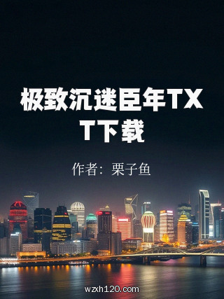 极致沉迷臣年TXT下载