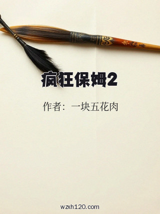疯狂保姆2