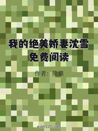 我的绝美娇妻沈雪免费阅读