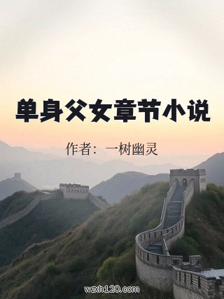 单身父女章节小说